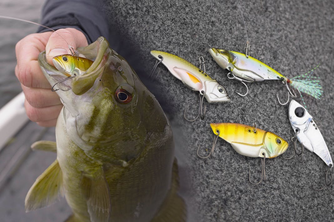 Choosing the Right Blade Bait with Jacob Bros Bass Utopia
